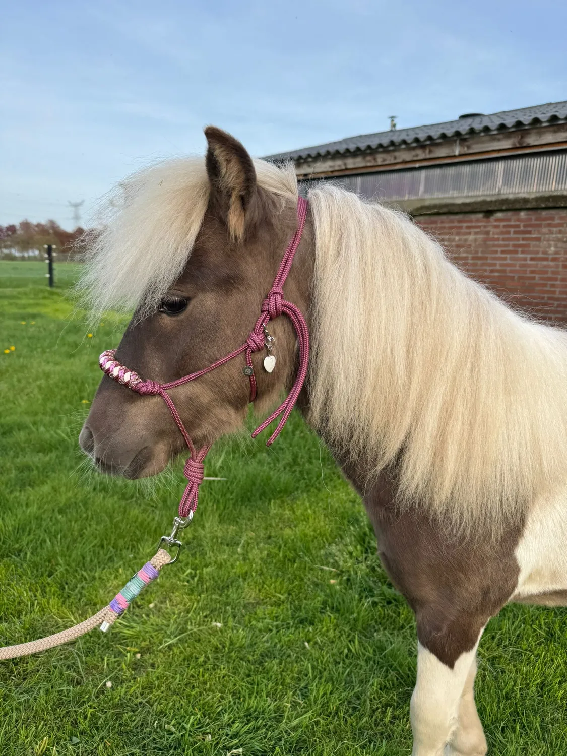 Mushabu Simphony touwhalster fishtail gevlochten