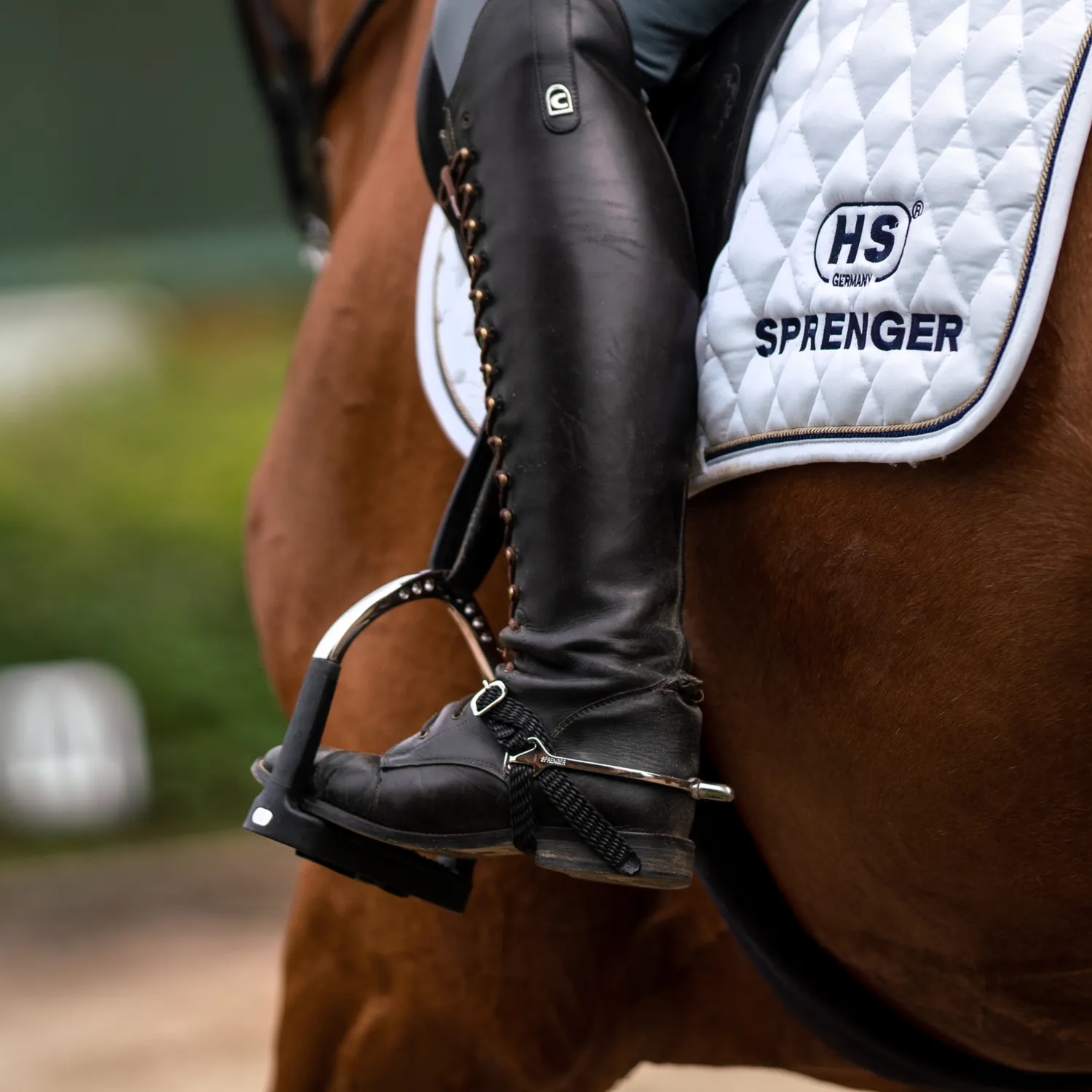 Herm Sprenger BootProtect sporen 25 mm afgerond RVS