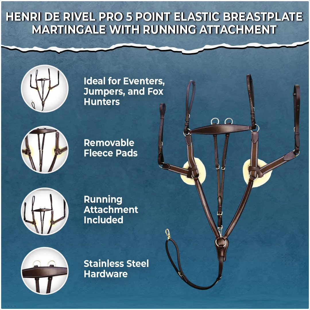 Henri de Rivel Pro 5 Point Elastic borsttuig zwart