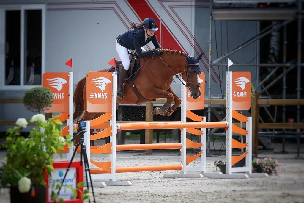 Quick Knot Deluxe Standaard vlechtclips zwart dunne manen