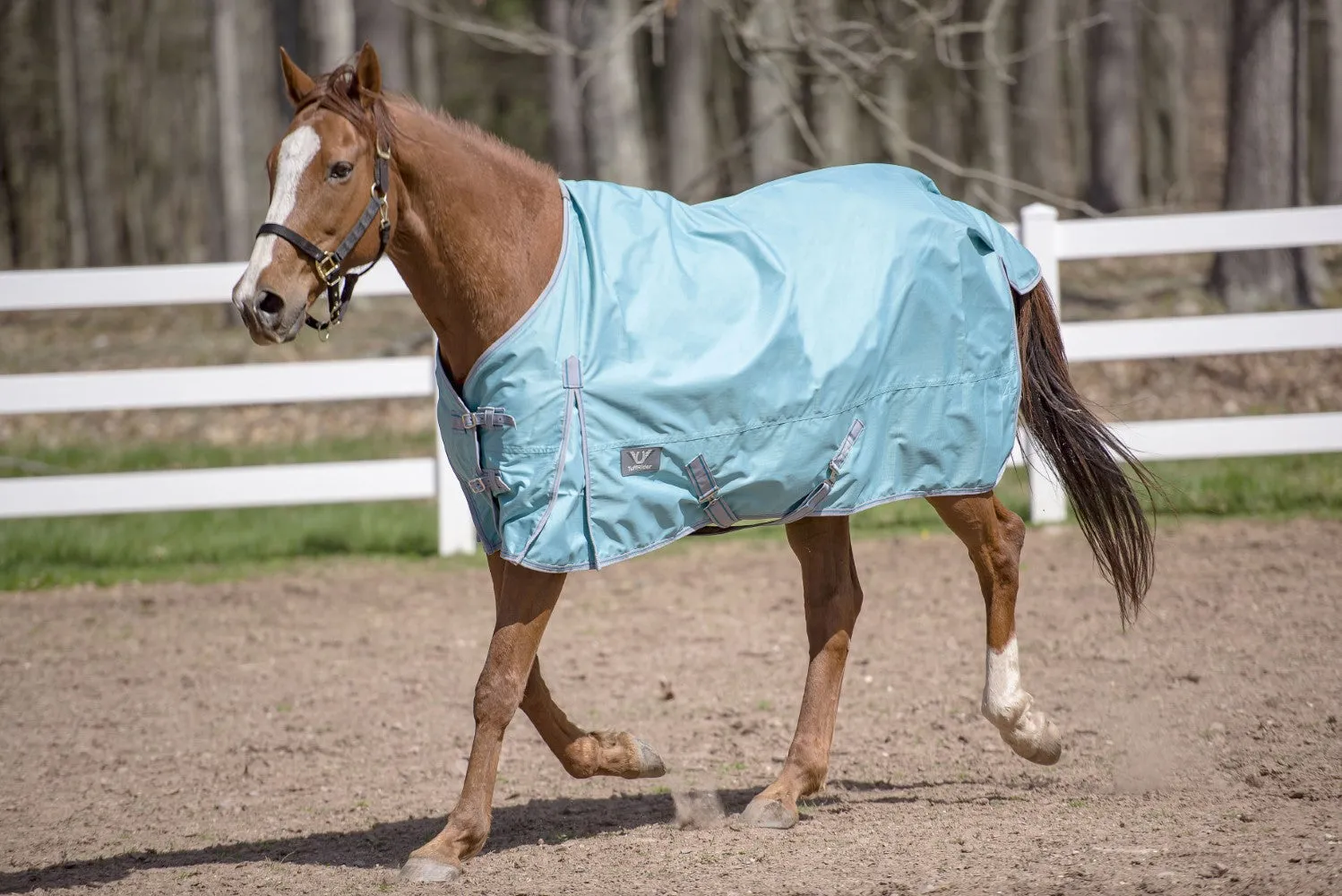 TuffRider Comfy regendeken 600D turquoise 75 waterdicht