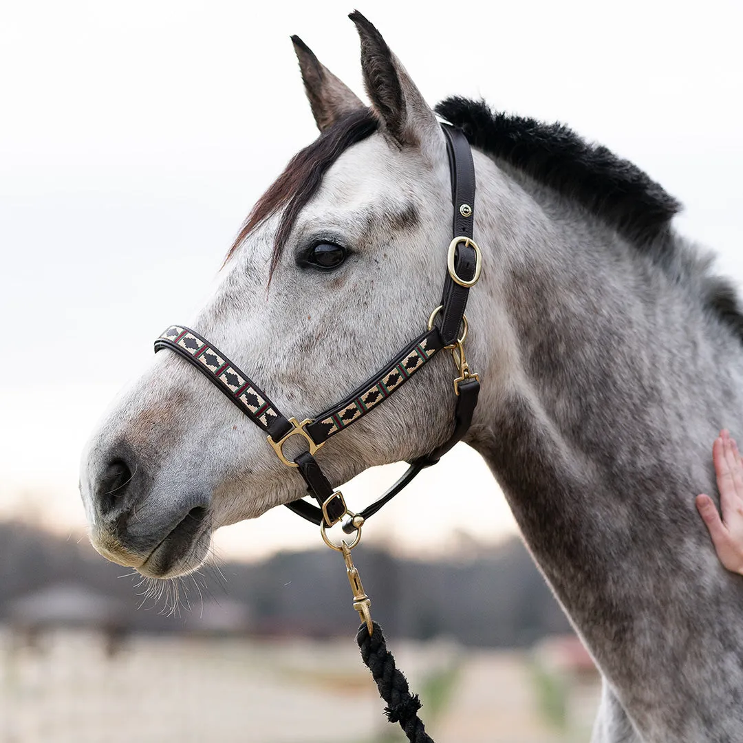 Henri de Rivel Embroidered leren halster cob