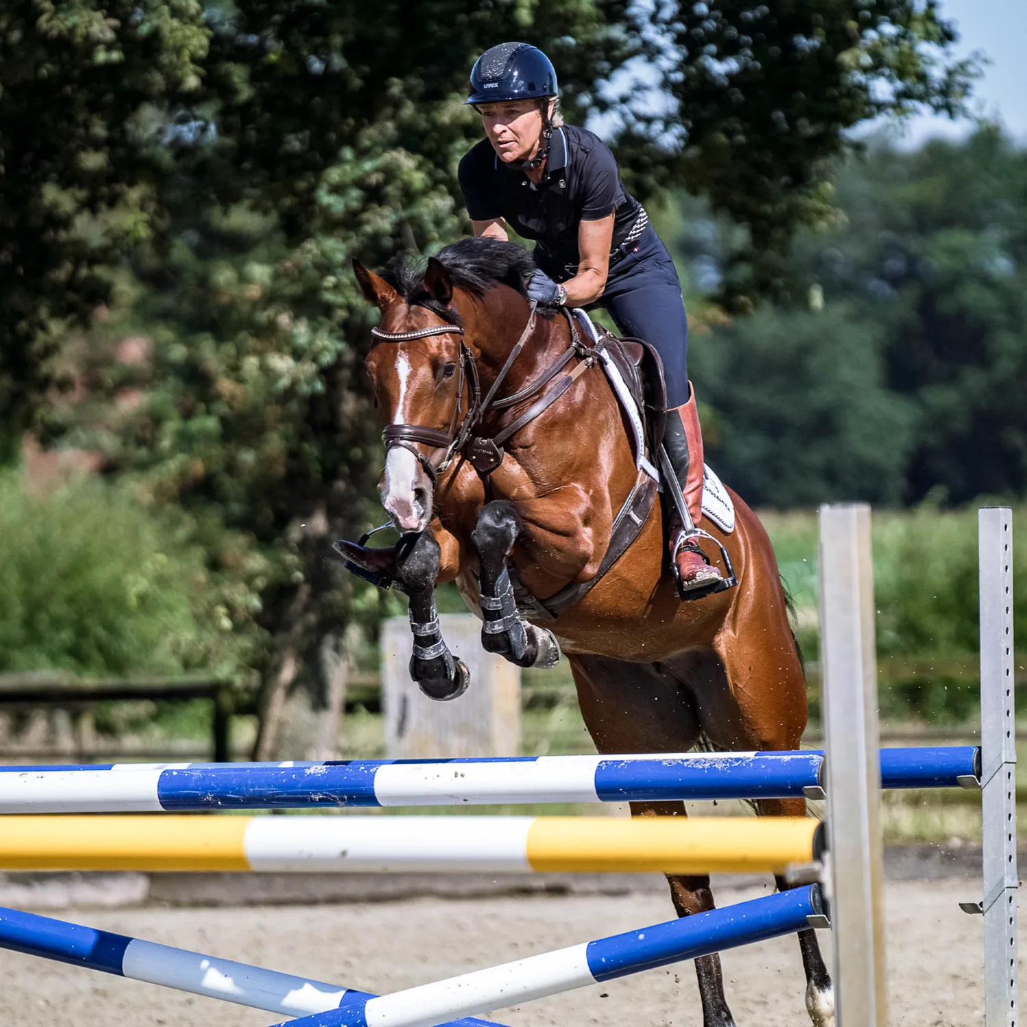 HS Sprenger Bow Balance stijgbeugels Ingrid Klimke
