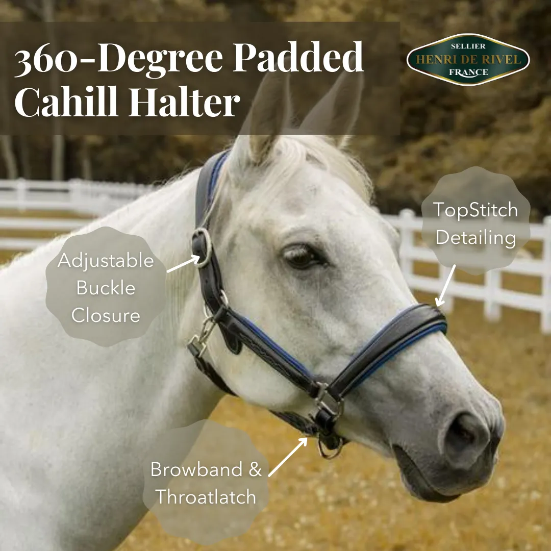 Henri de Rivel Cahill Halster Havana Cob Gewatteerd