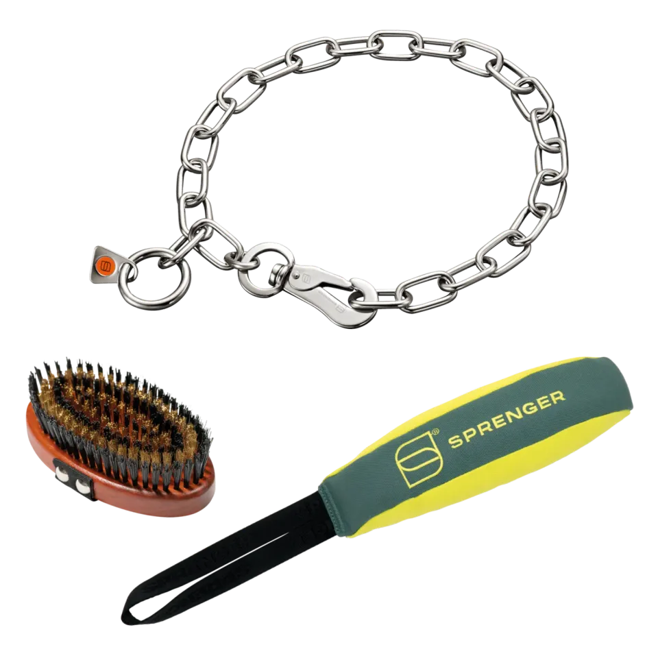 HS Sprenger strandset hond 60cm rvs zeewaterbestendig