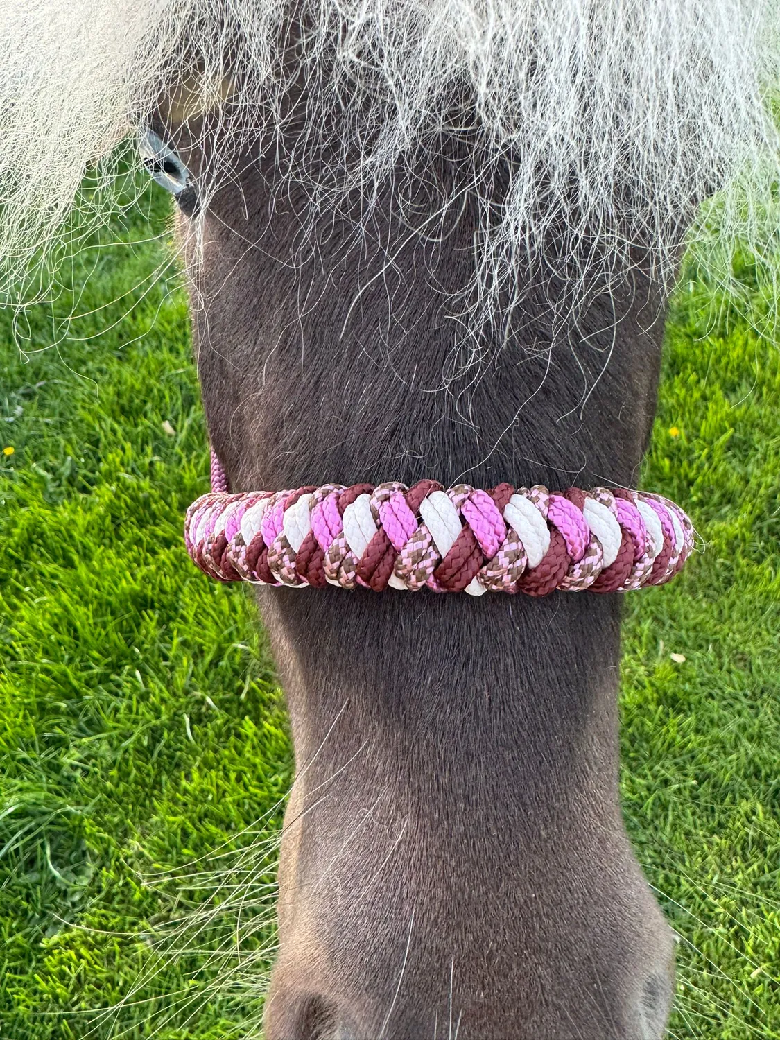 Mushabu Simphony touwhalster fishtail gevlochten