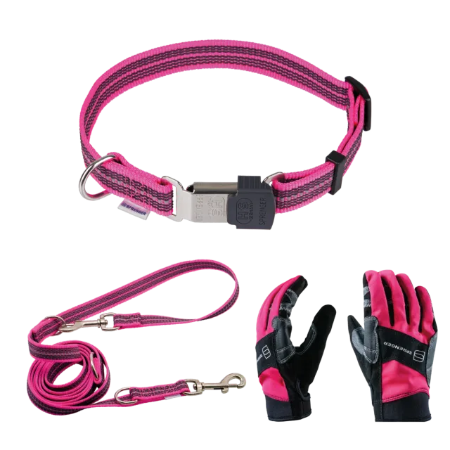 HS Sprenger Hondenset halsband riem handschoenen roze