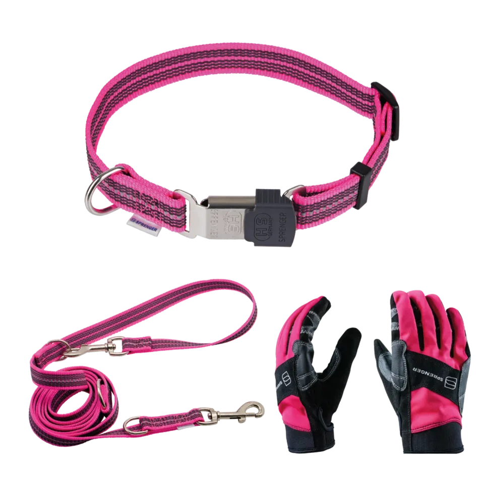 HS Sprenger Hondenset halsband riem handschoenen roze