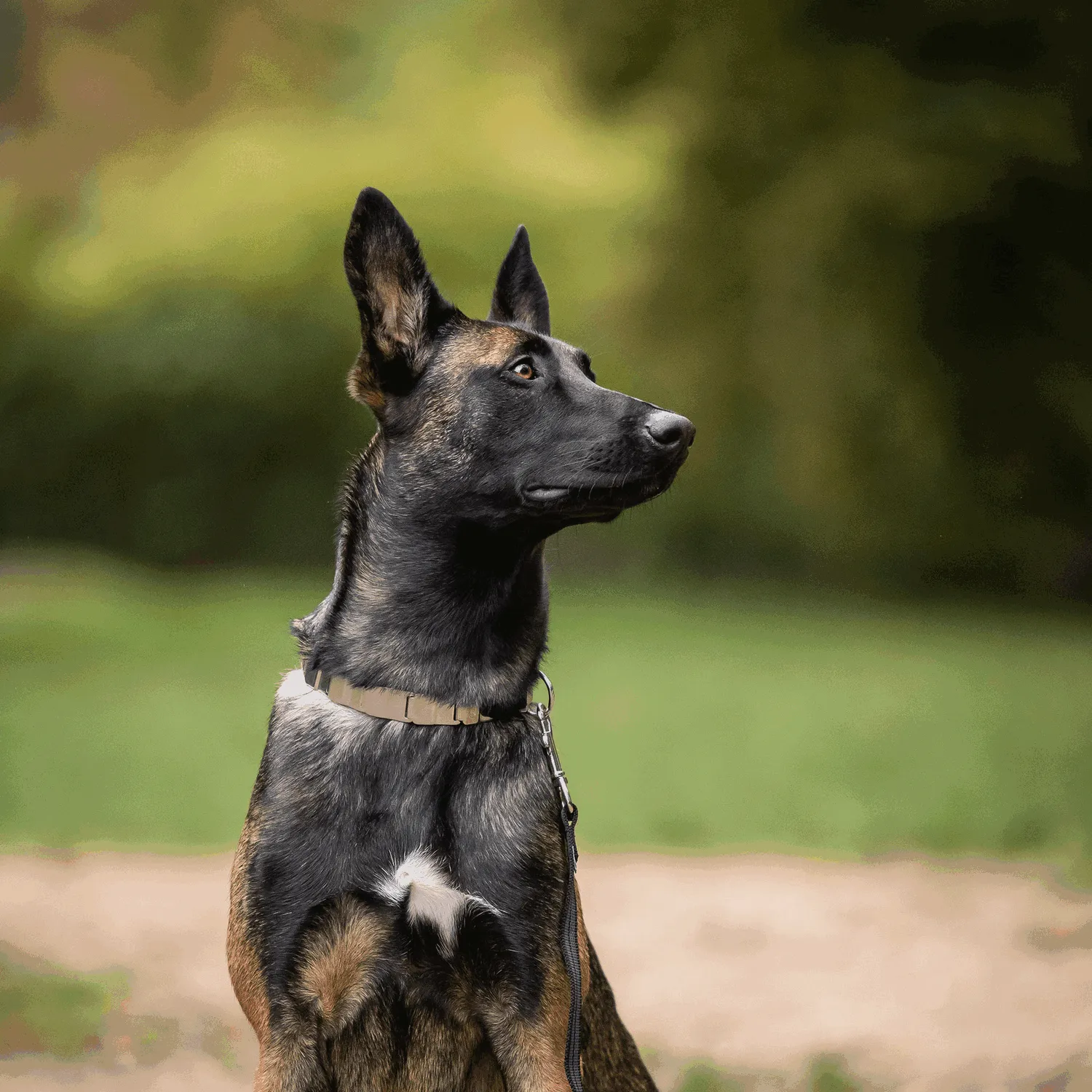 Herm Sprenger NeckTech Fun honden halsband 60 cm ClicLock