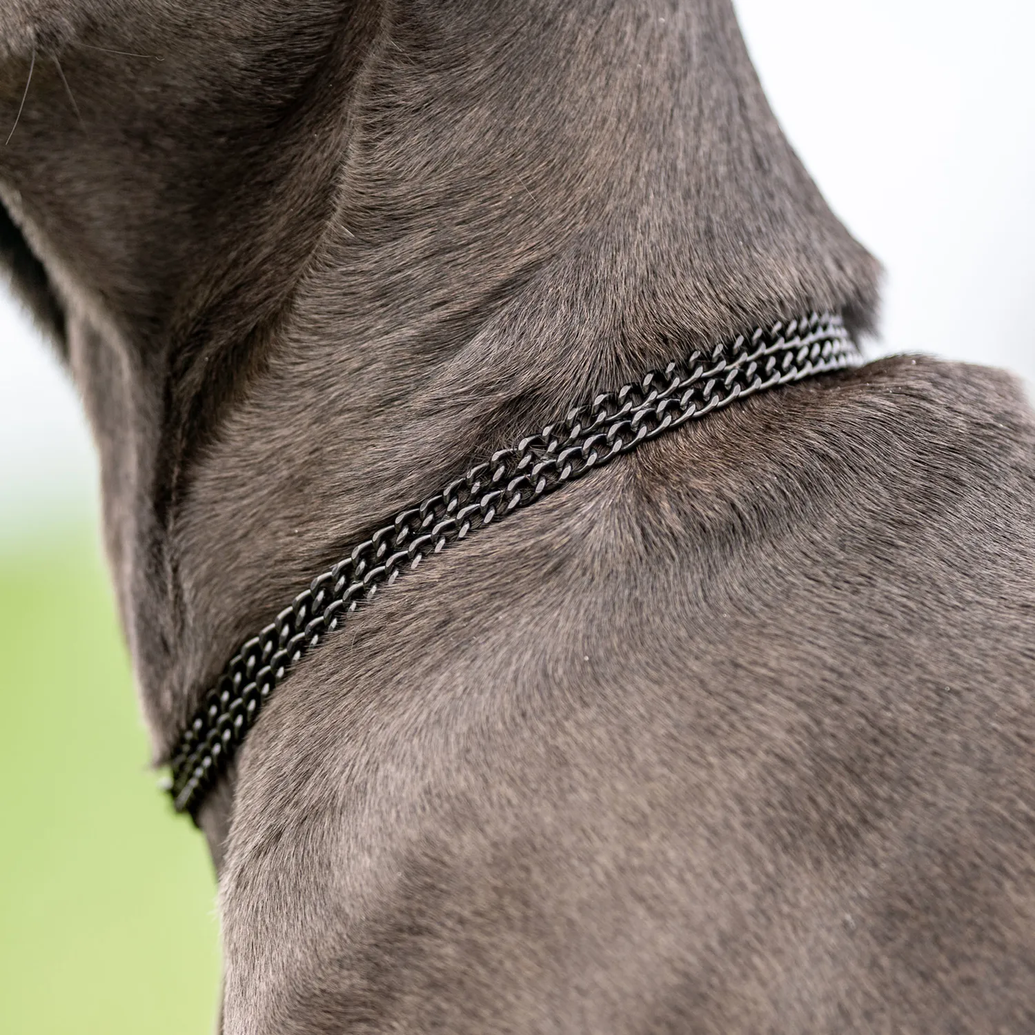 HS Sprenger 50881-57 hondenketting 50 cm 2,0 mm zwart