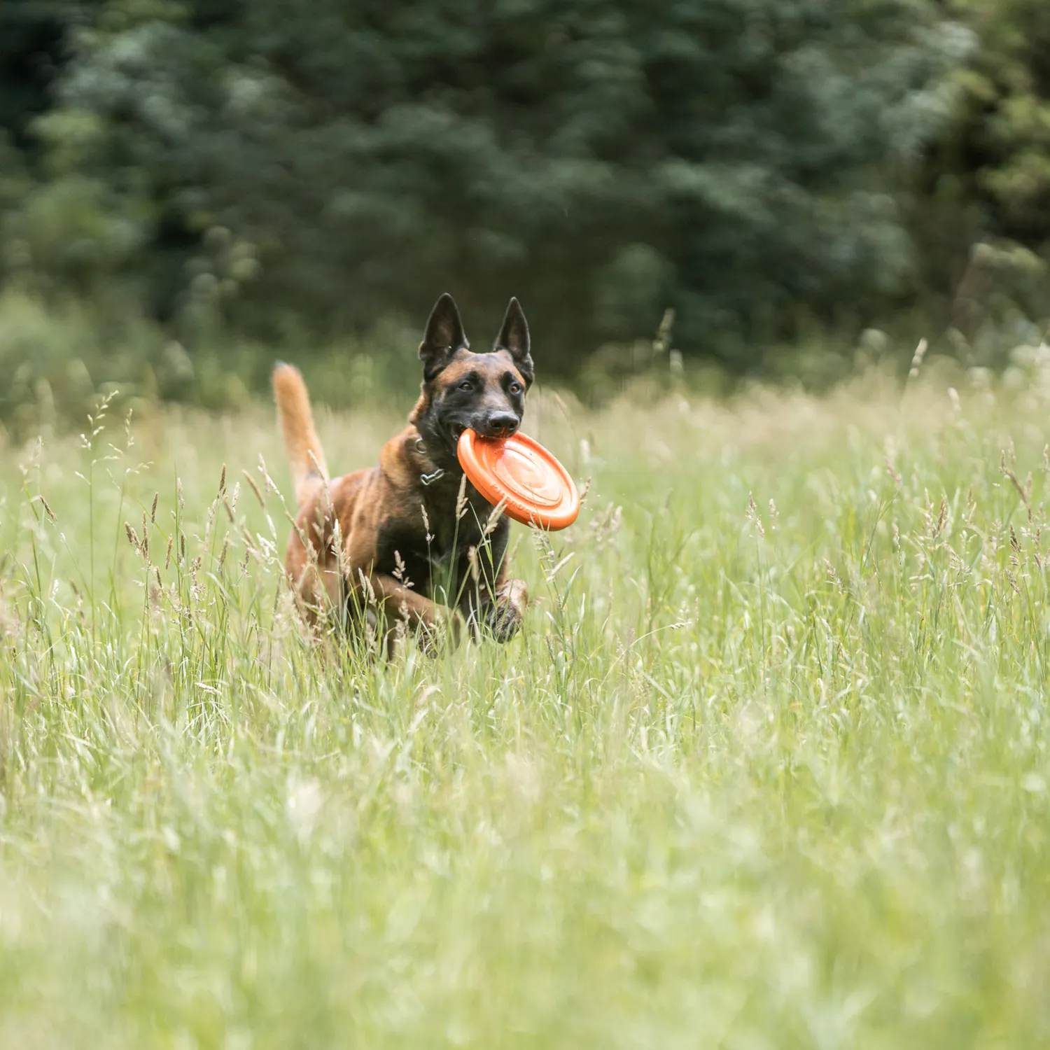 HS Sprenger 5819912177 frisbee zacht drijvend