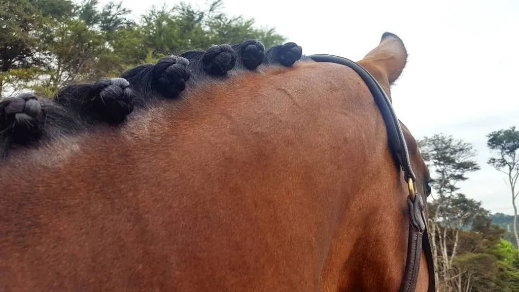 Quick Knot Deluxe Standaard vlechtclips zwart dunne manen