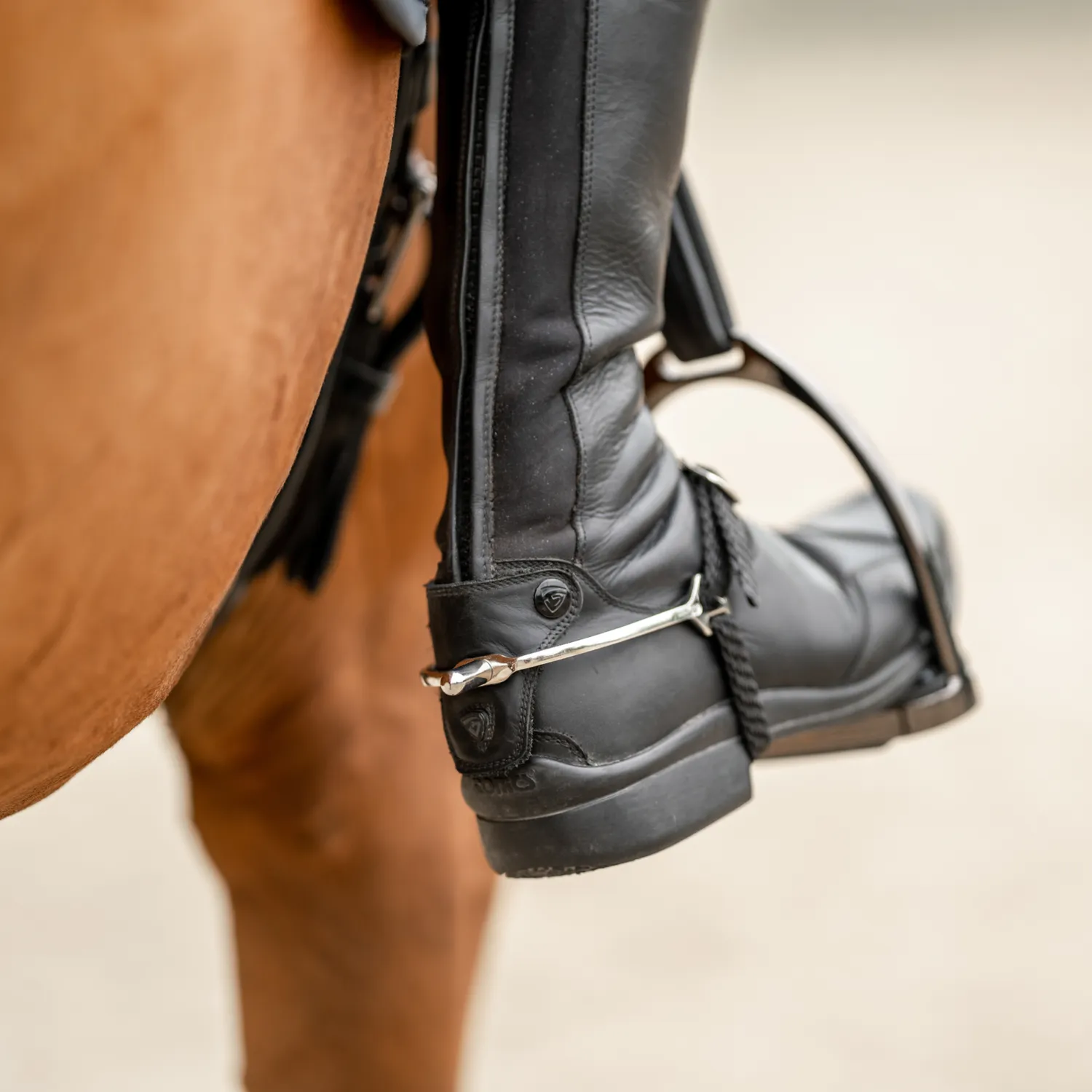 Sprenger BootProtect sporen rvs 20 mm afgerond