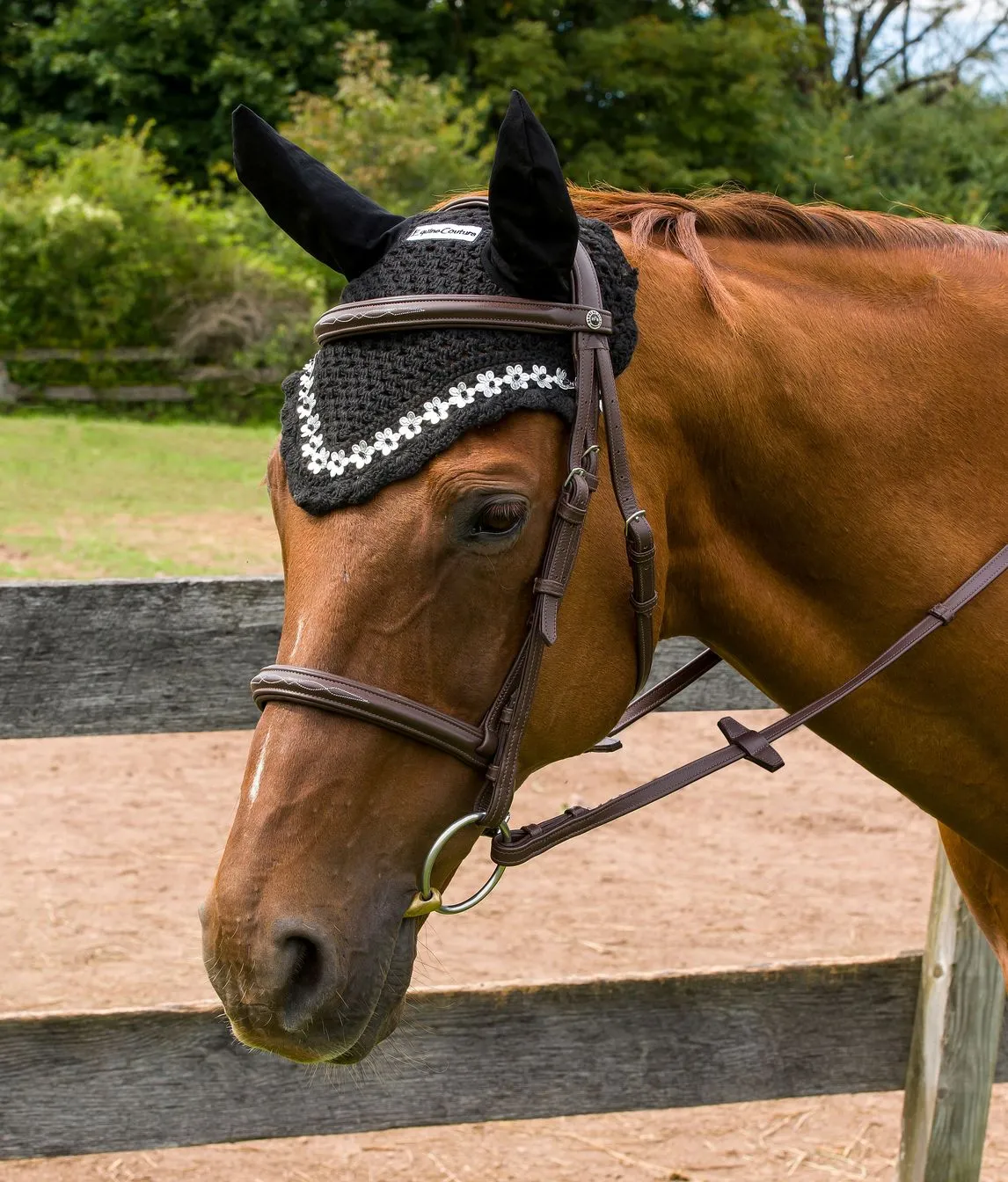 Equine Couture Floral oornetje wit met bloemenrand