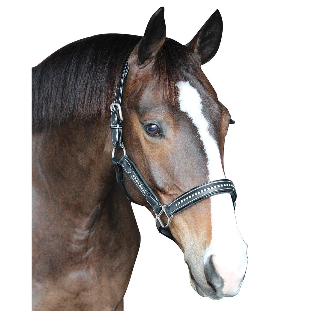 Henri de Rivel Ergonomic Premium leren halster met crystals