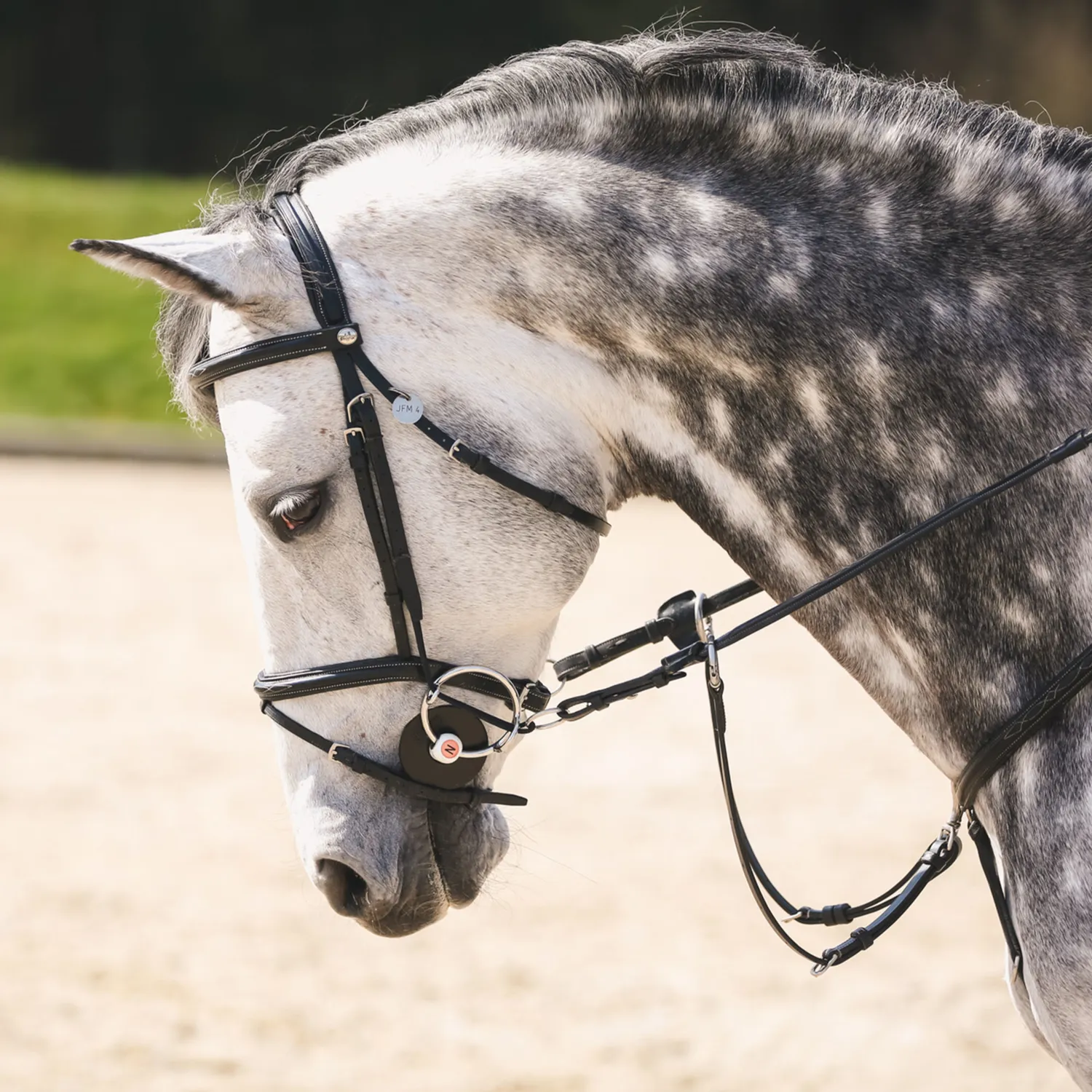 Nathe Opzettrens 20mm flexibele staaf paard