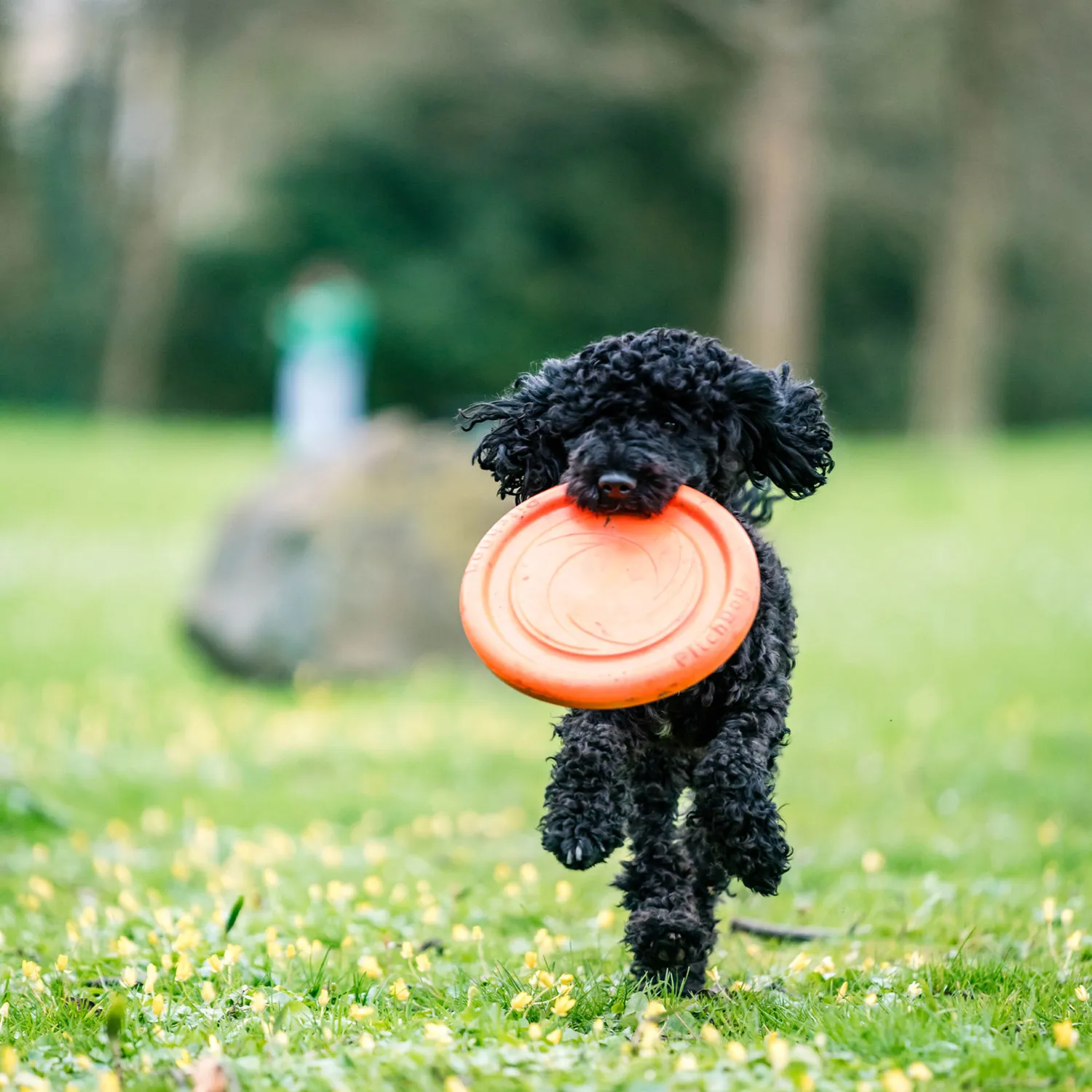 HS Sprenger 5819912177 frisbee zacht drijvend