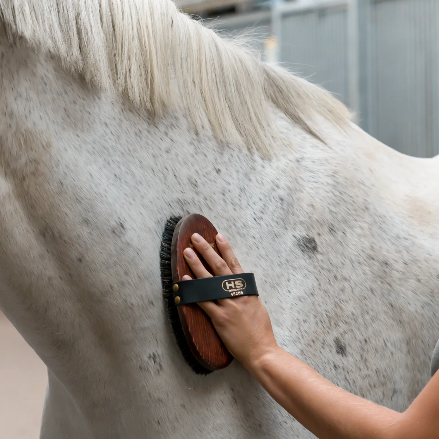 Herm Sprenger paardenborstel roshaar-mix leerlus
