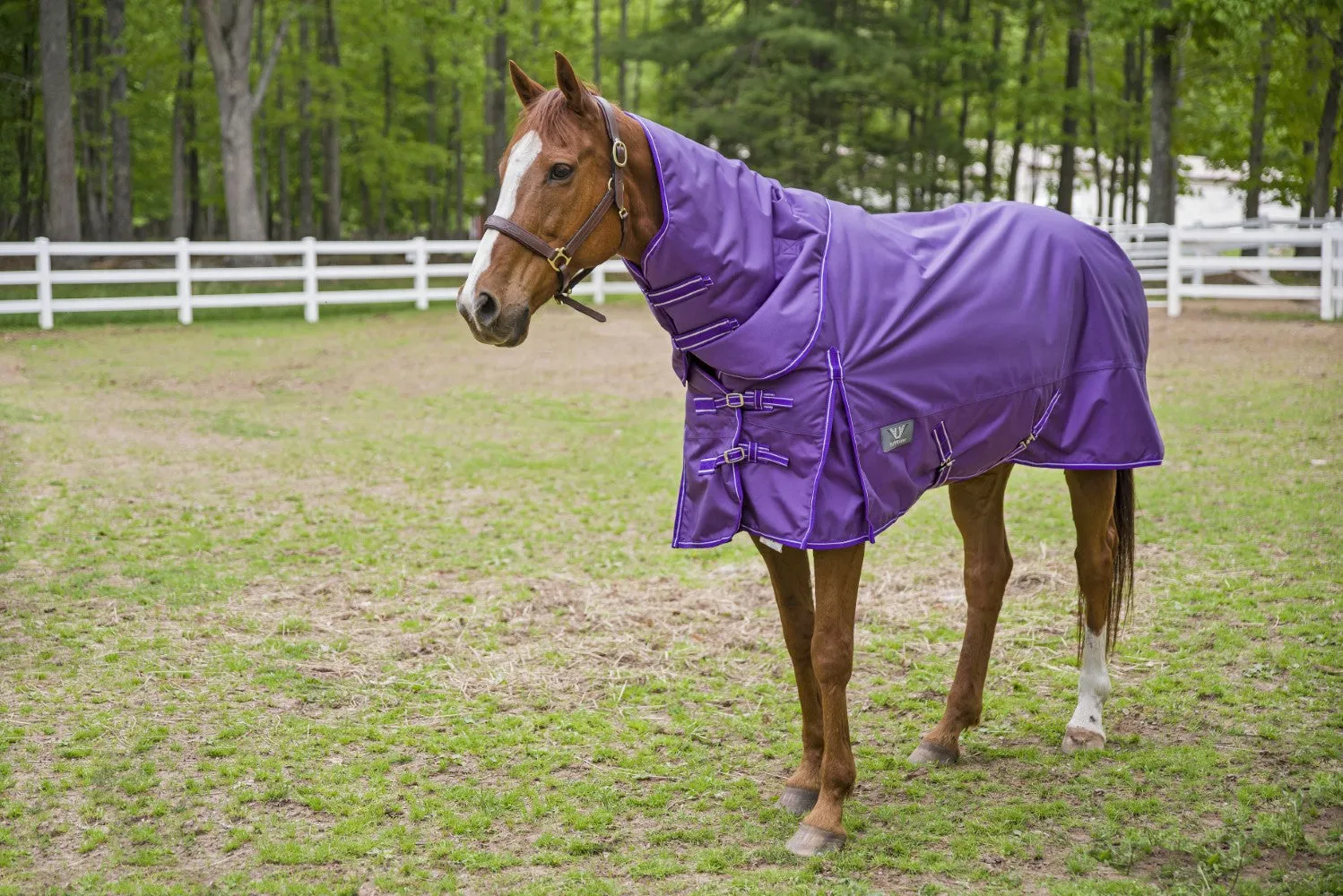 TuffRider 1680D Super Comfy winterdeken royal 350 grams