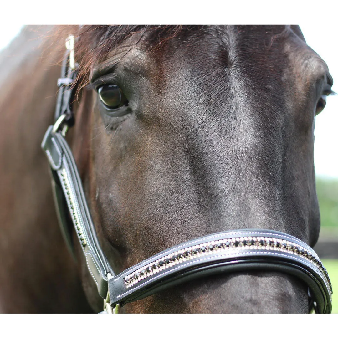 Henri de Rivel Padded Jewel halster Zwart Zilver Horse
