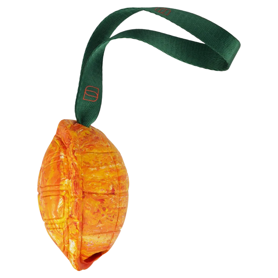 HS Sprenger Hondenspeelgoed Schildpad M Oranje 14 cm