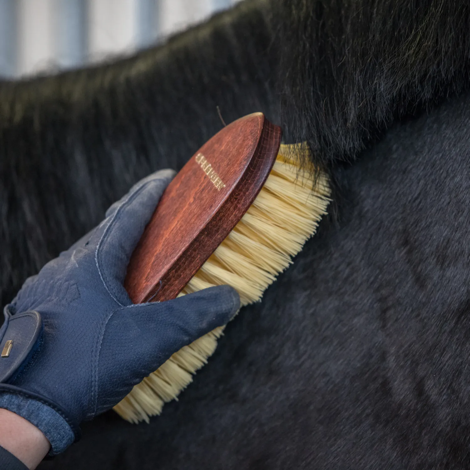 HS Sprenger Wortelborstel Perlon mahonie paard