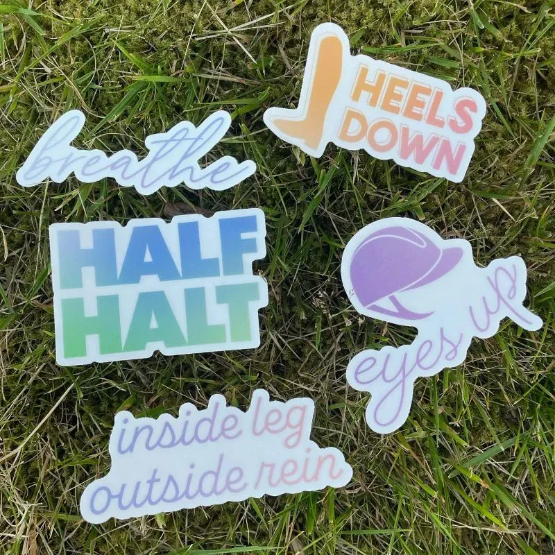 Dapplebay Trainer Sayings stickerpack multi vinyl