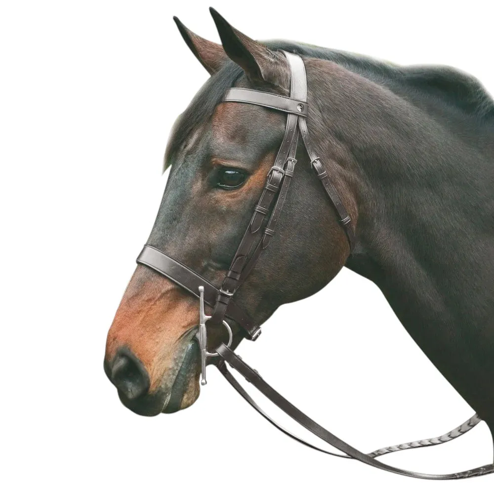 Henri de Rivel polo pelham hoofdstel leer havana cob