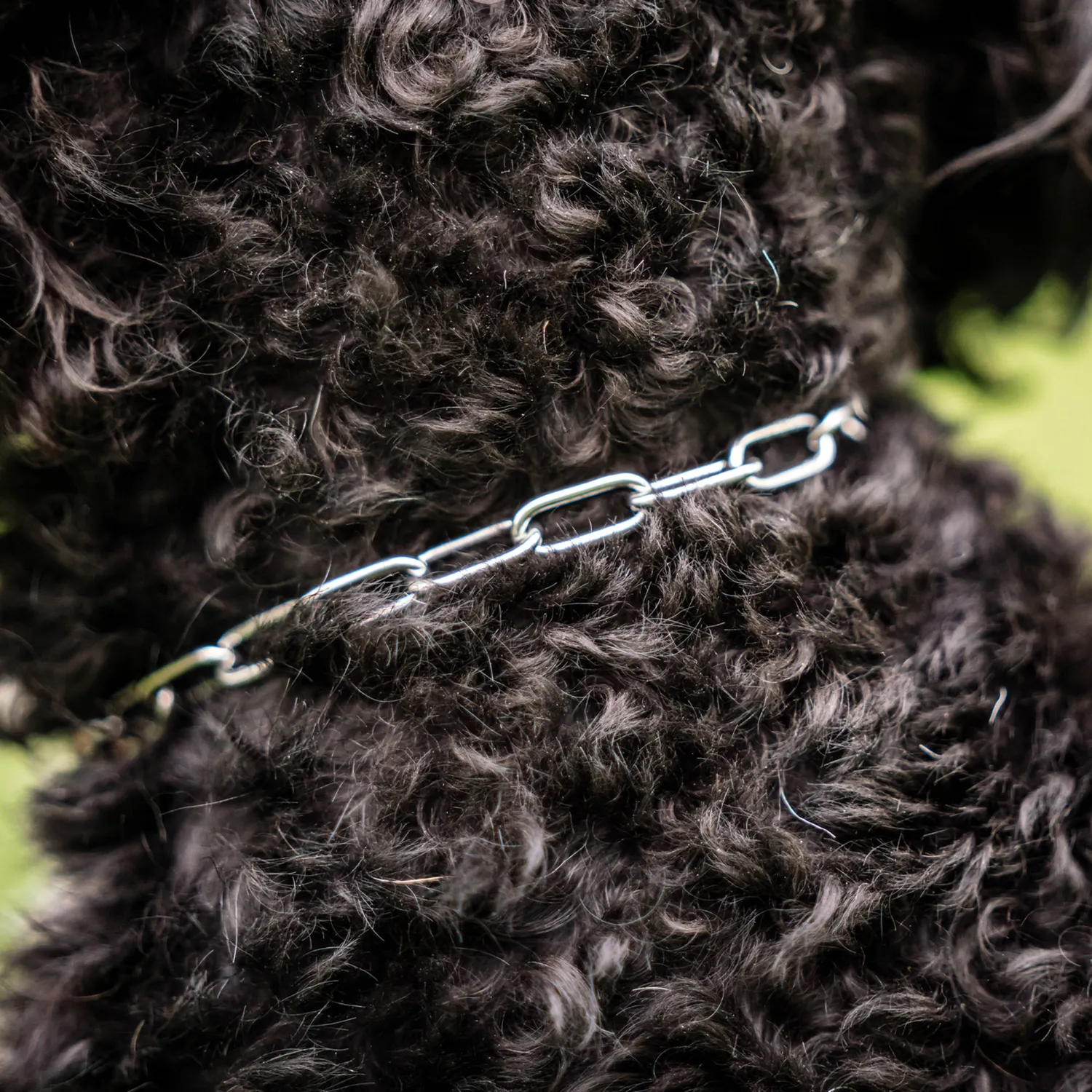 Herm Sprenger Halsketting hond 2,0 mm kleine hond