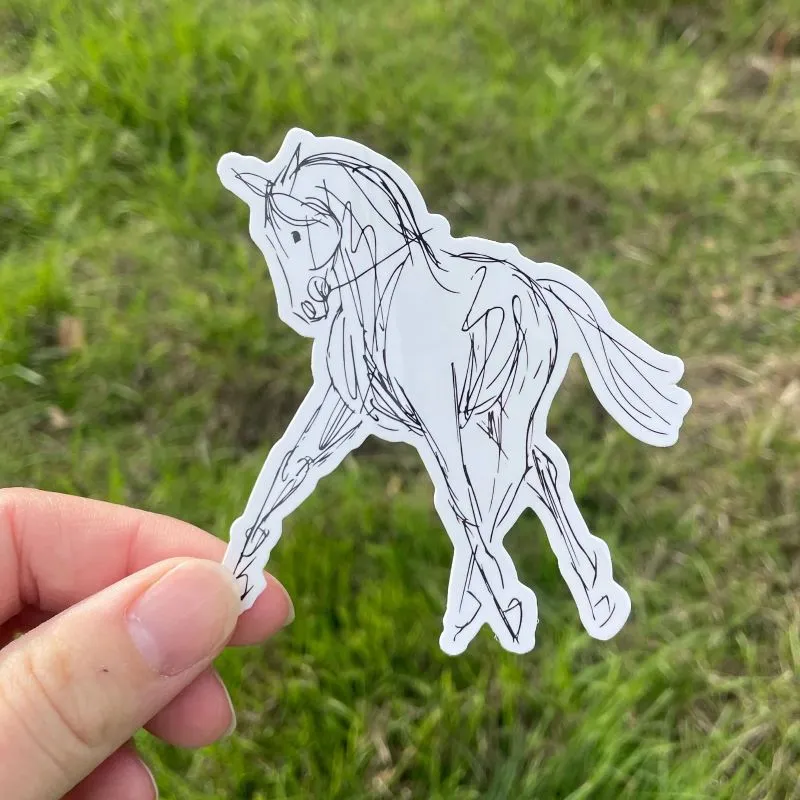 Dapplebay Dressage stickerpack multi dressuurstickers