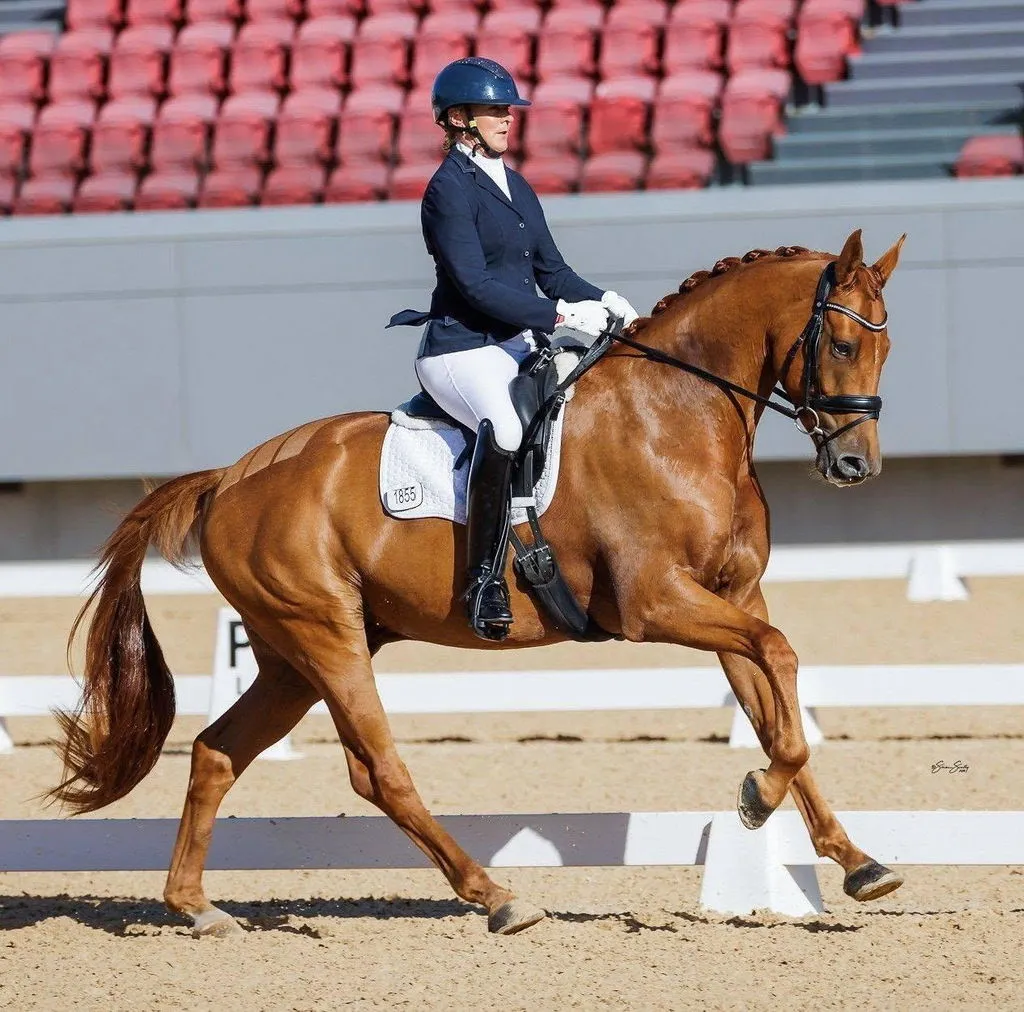 Quick Knot Deluxe Standaard vlechtclips zwart dunne manen