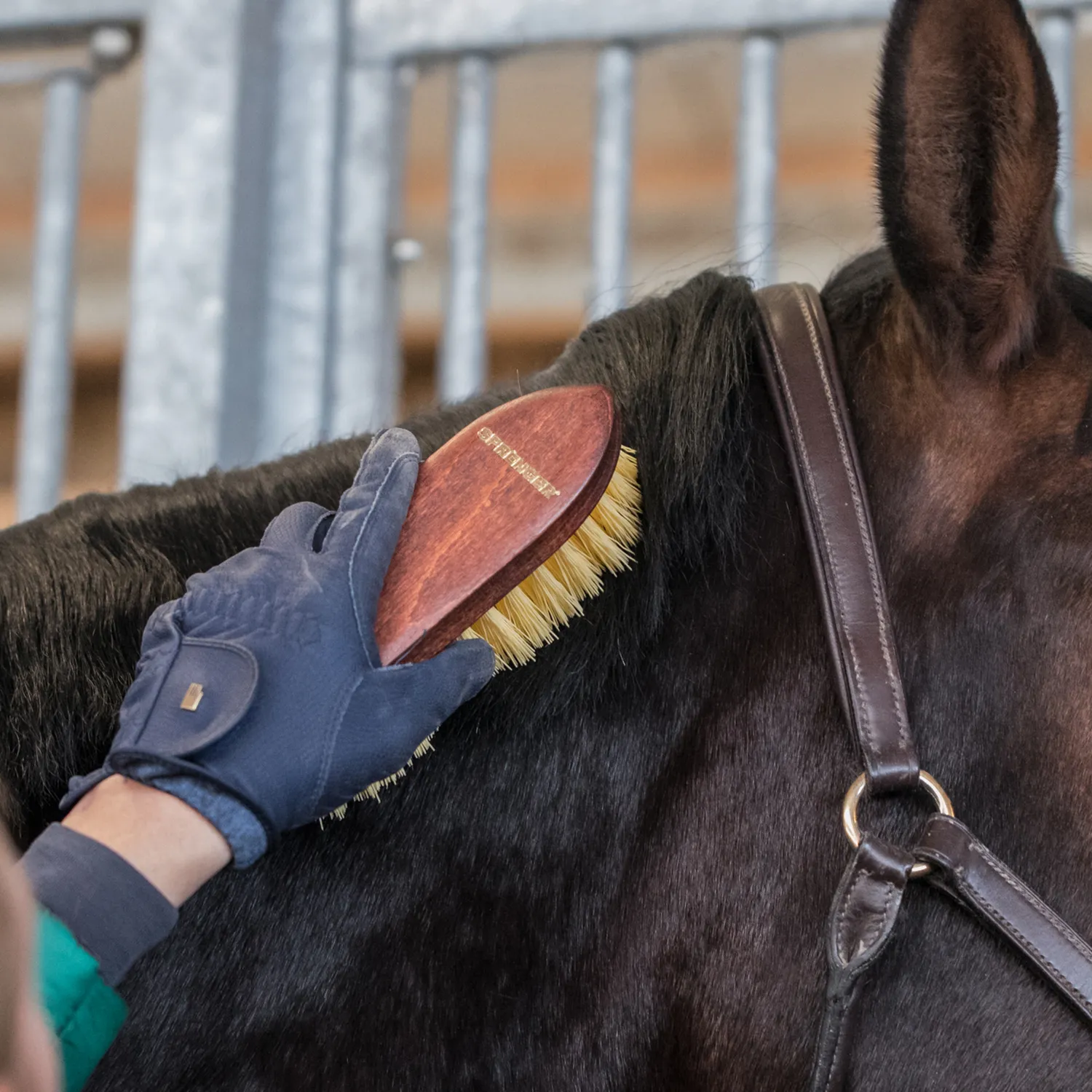 HS Sprenger Wortelborstel Perlon mahonie paard