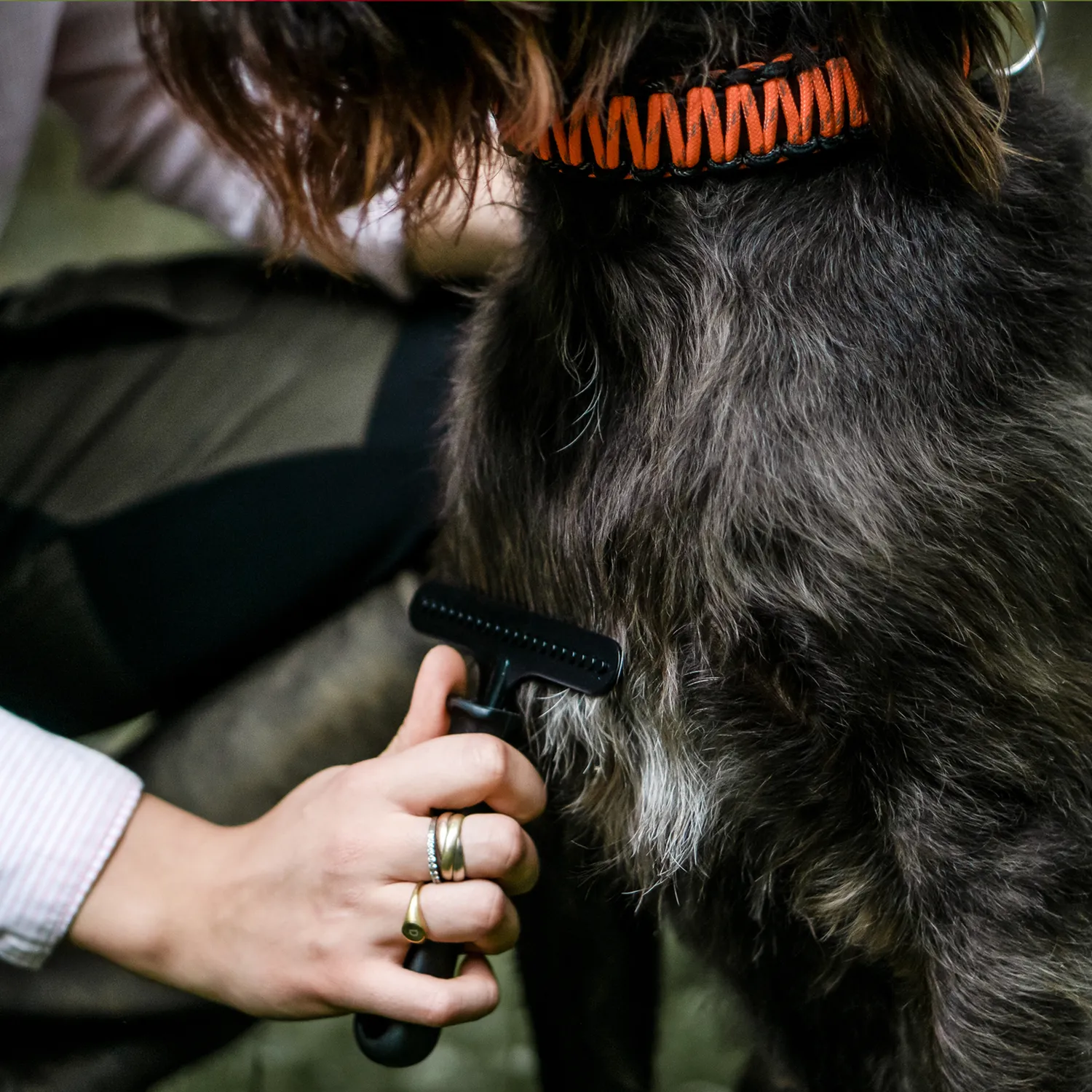 HS Sprenger Hondekrabber staal gecoat 1-rijig klitten