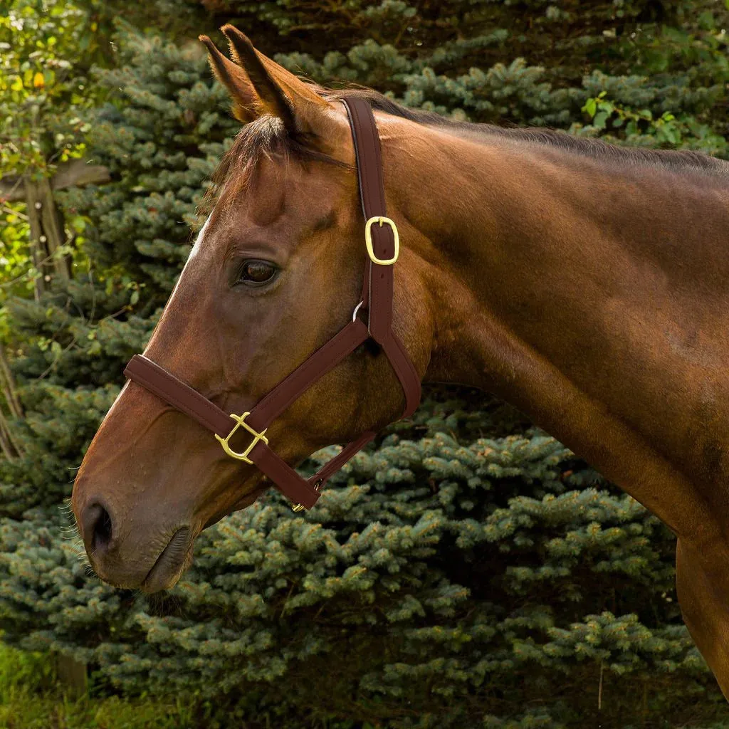 Henri de Rivel Vegan halster breakaway oakbark cob