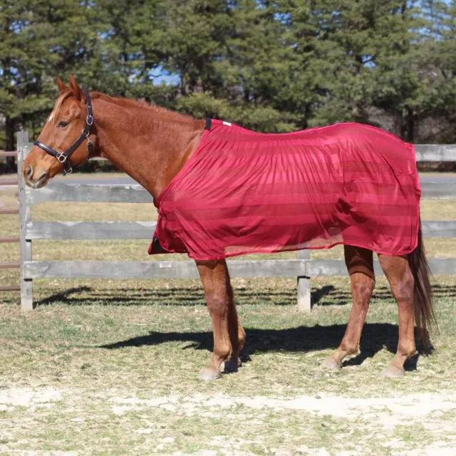 TuffRider Scrim vliegendeken burgundy mesh met UV