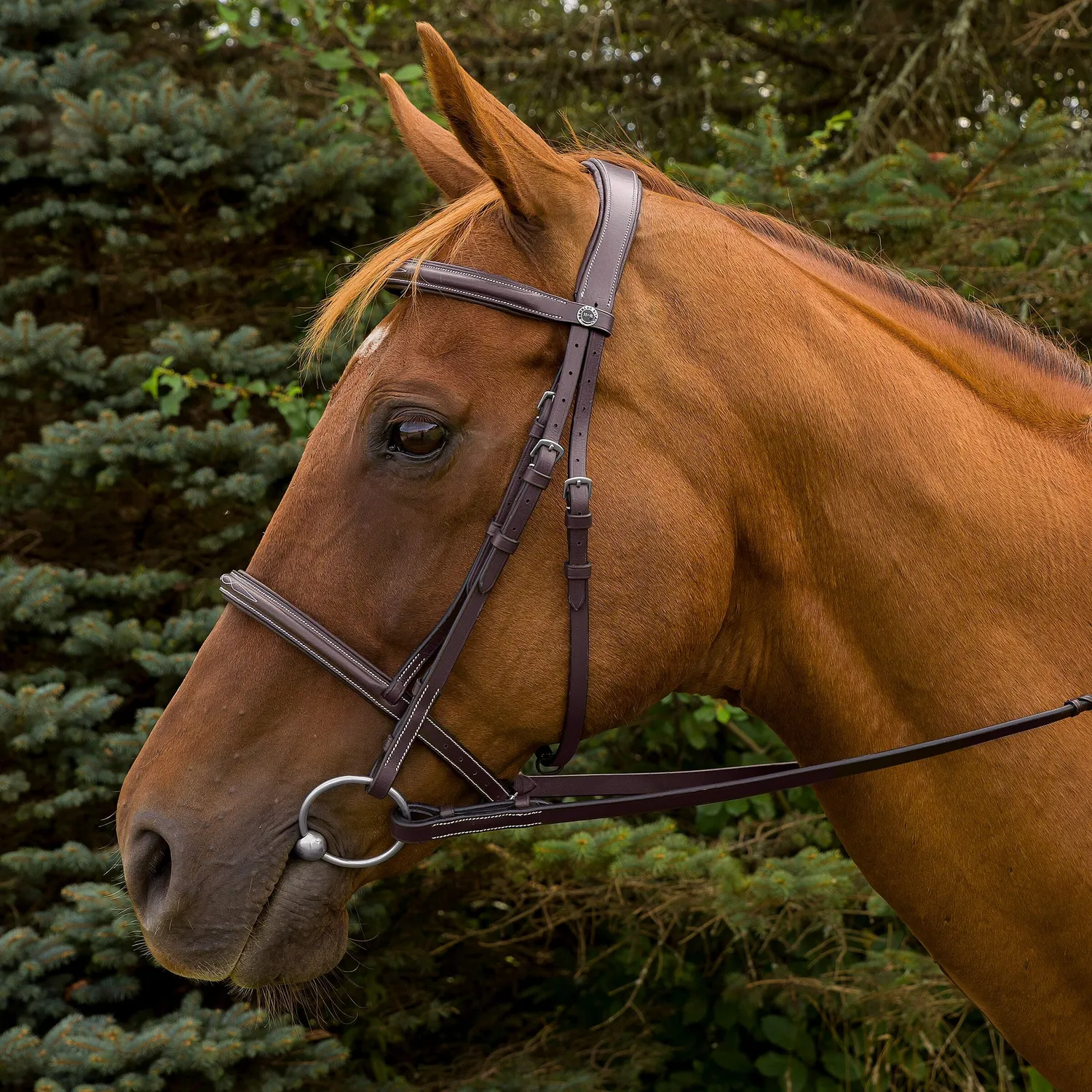 Henri de Rivel Pro Mono Crown hoofdstel cob havana