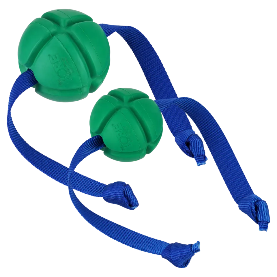 HS Sprenger petKORE FloTek Tug hondenspeelbal M 6 cm