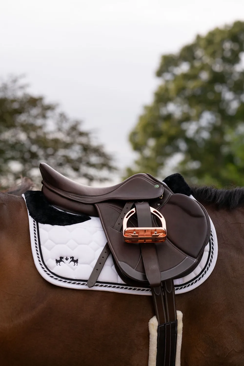Henri de Rivel Equipe Covered Close Contact IGP springzadel Havana