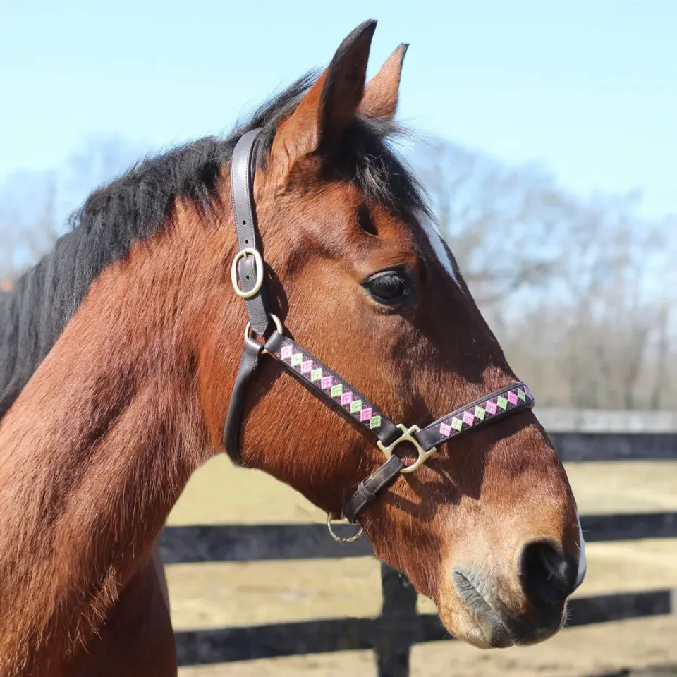 Henri de Rivel Embroidered leren halster cob