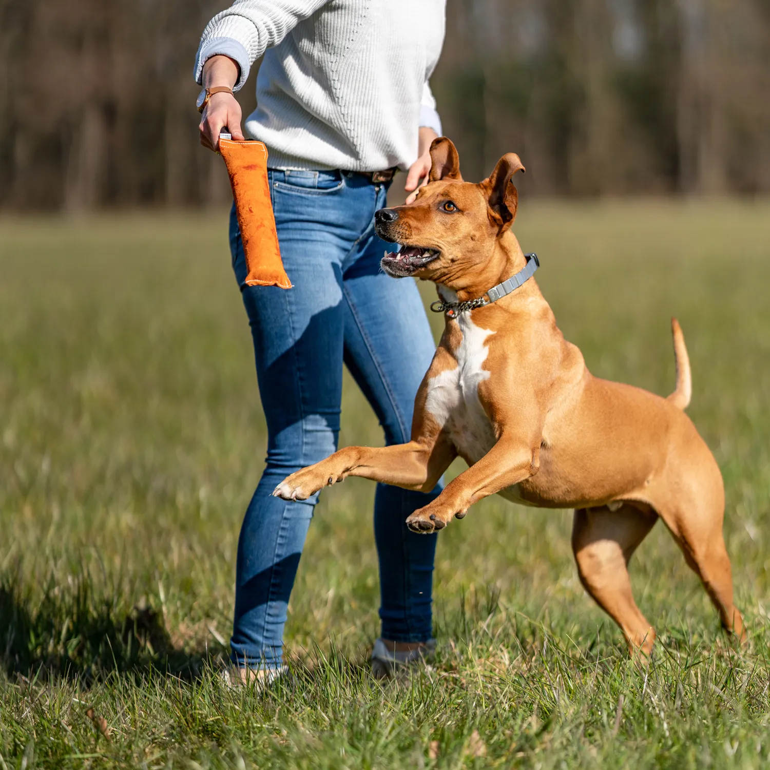 HS Sprenger Bringsel Hond Leer 30x4cm apporteer