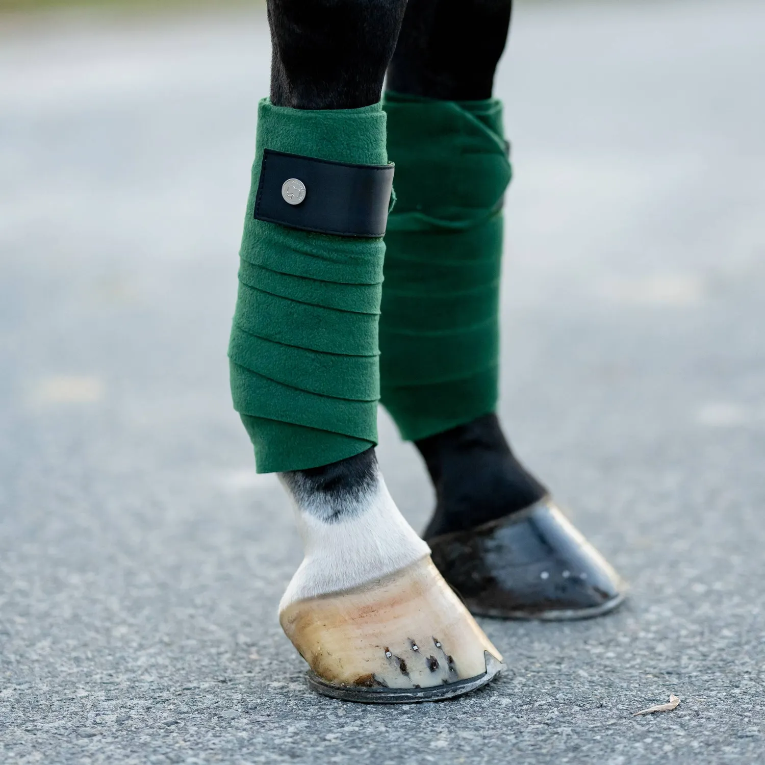 Dapplebay Sport polo wraps Evergreen STD fleece set 4