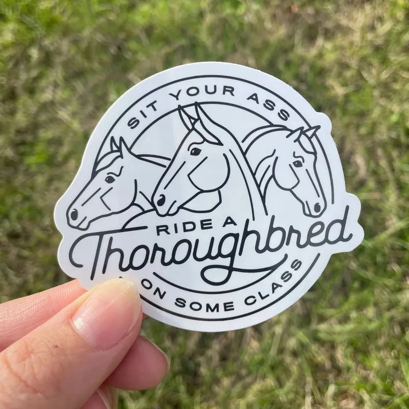 Dapplebay OTTB stickerpack multi volbloed stickers
