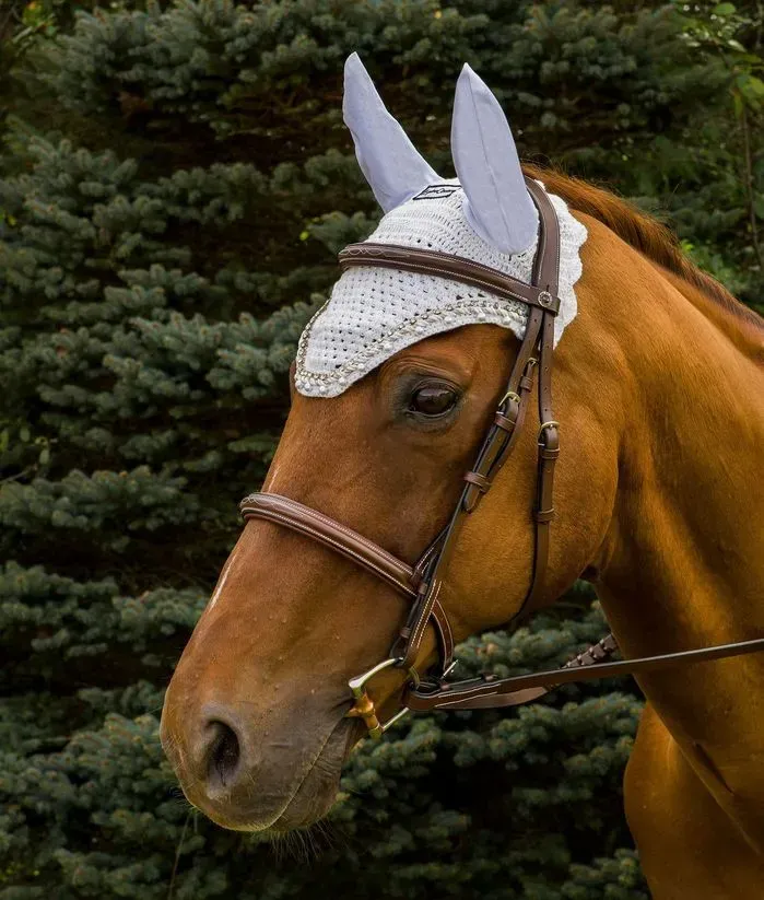 Equine Couture vliegenmuts zwart met parels Full
