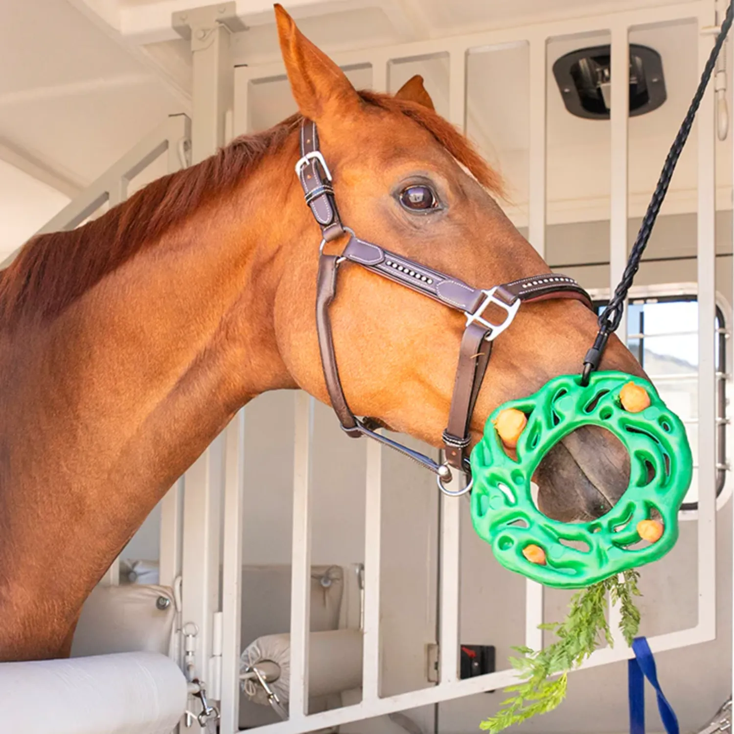 petKore Luna Ring XL Voerpuzzel Paard Rubber