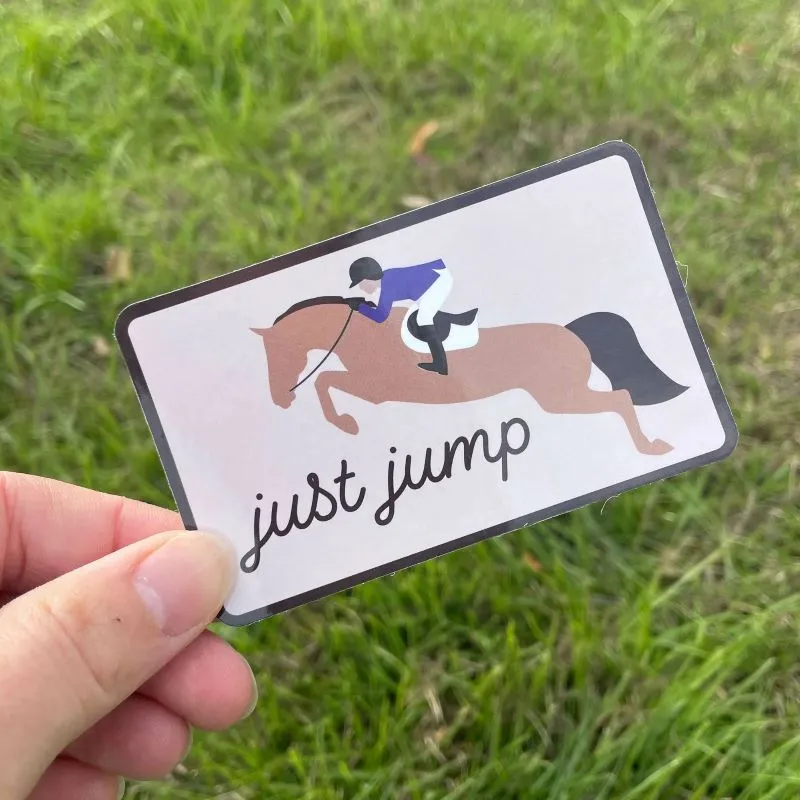 Dapplebay Jumper stickerpack multi springruiters vinyl
