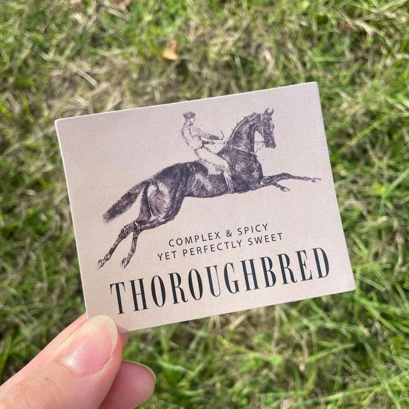 Dapplebay OTTB stickerpack multi volbloed stickers