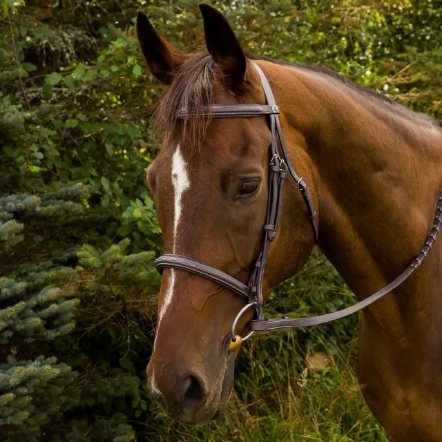 Henri de Rivel Advantage hoofdstel australian nut cob padded