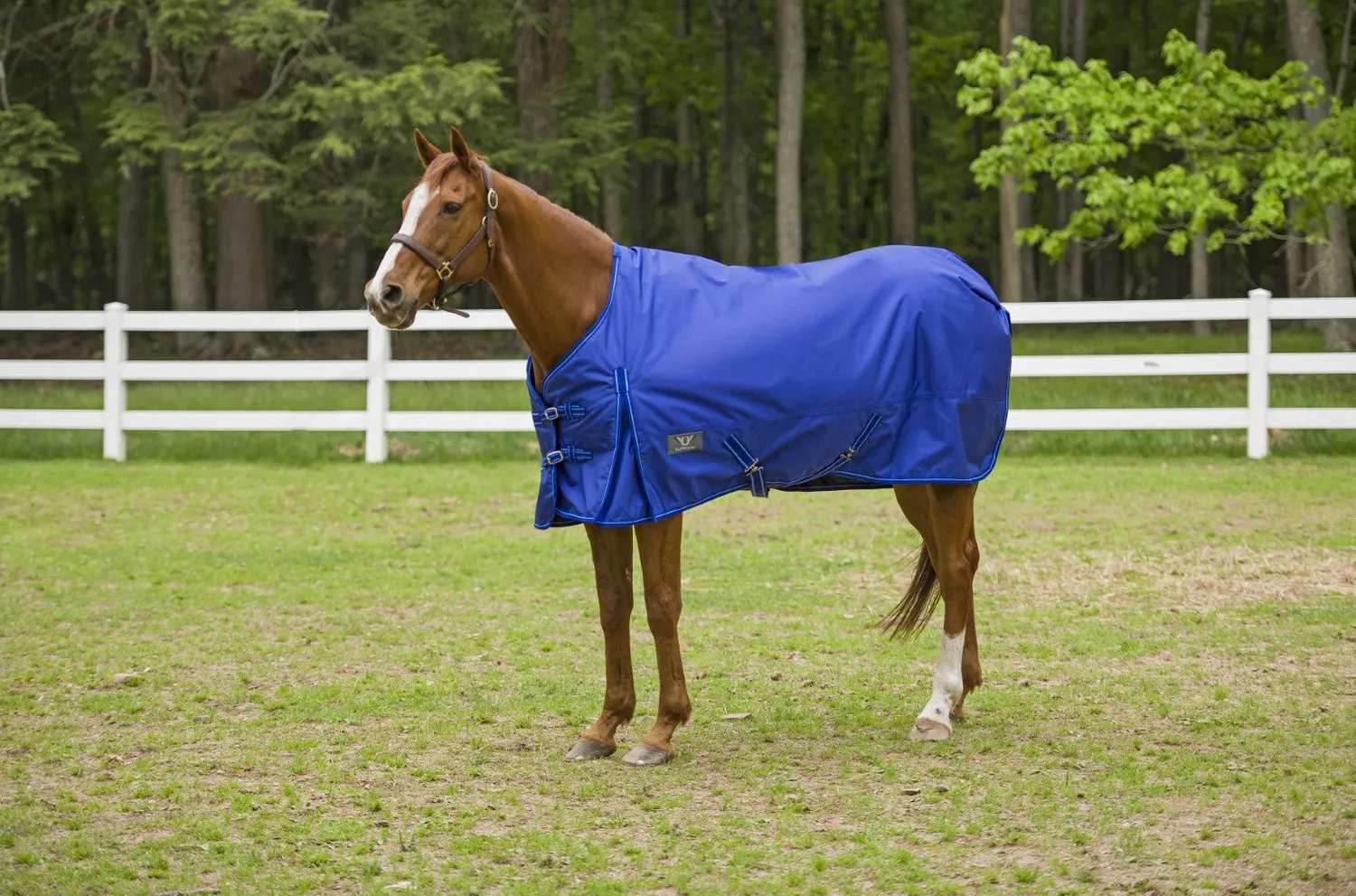 TuffRider Super Comfy 1680D winterdeken paars 200 grams