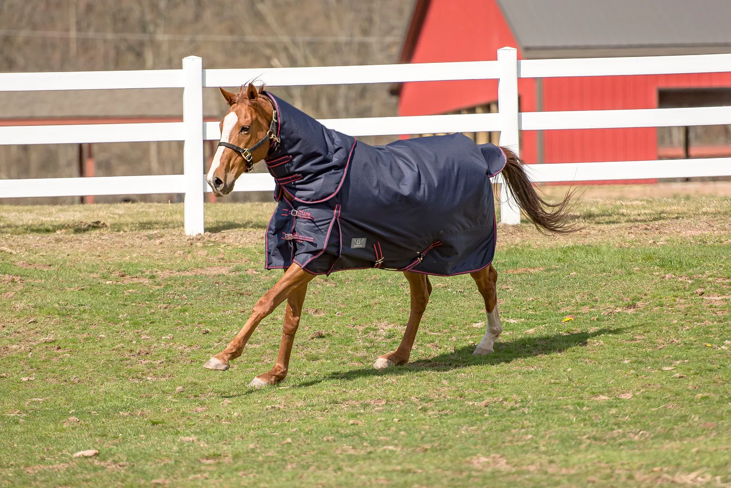 TuffRider Comfy Winter paardendeken 200g navy
