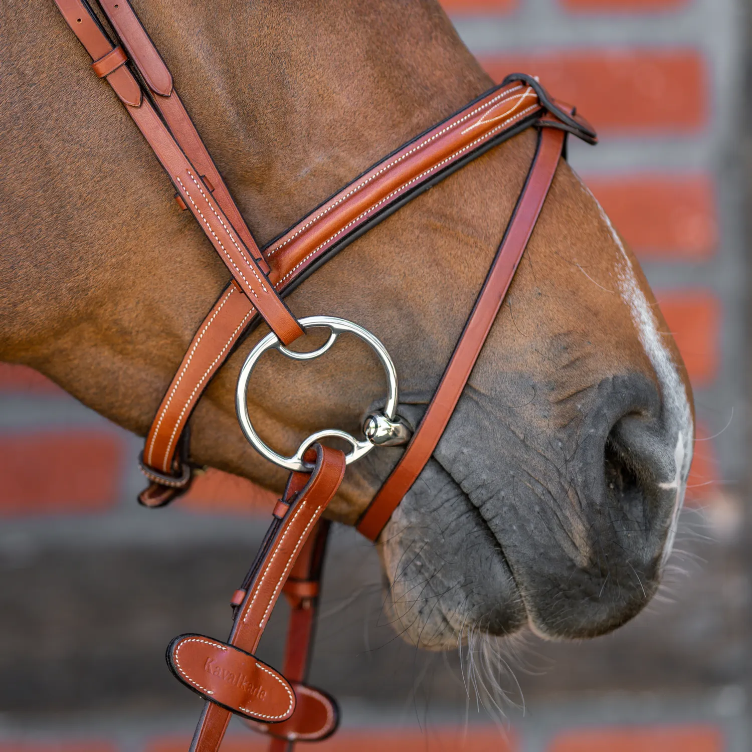 HS Sprenger Dynamic RS Multi Ring trens 16 mm 135 mm